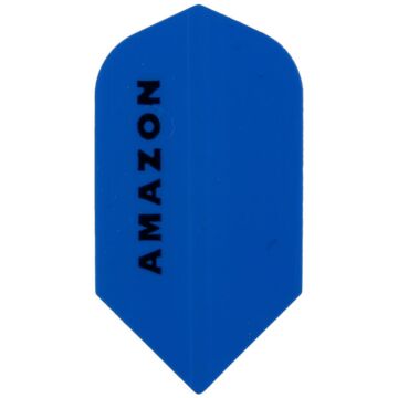 Amazon flight 1893