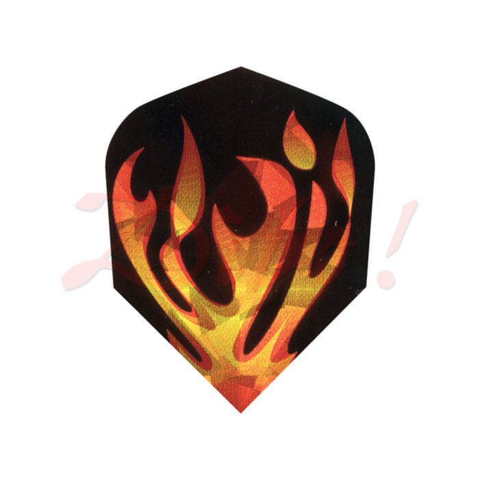 Hologram flight 1620 Hologram flight 1620