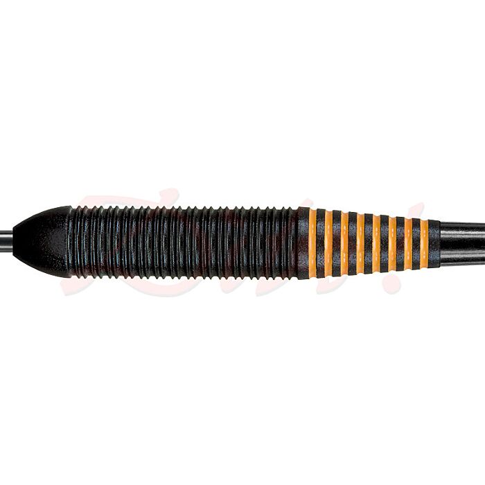 Target RVB Black - Raymond van Barneveld Target RVB Black - Raymond van Barneveld